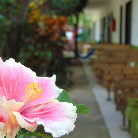 Crucero Tulum B&B 외부 사진