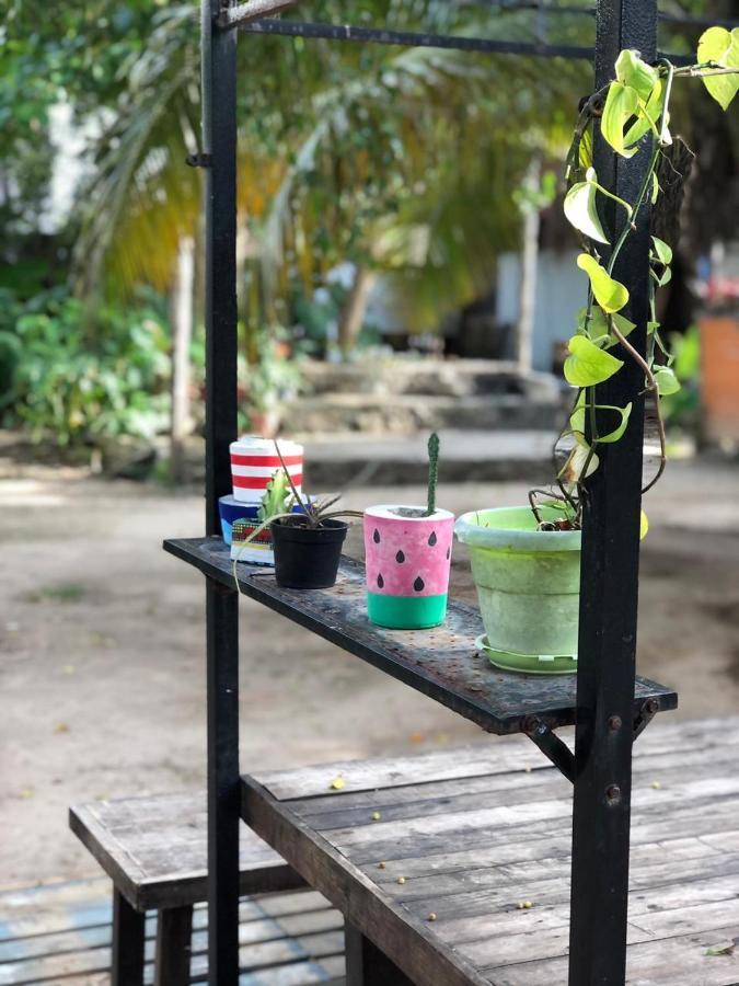 Crucero Tulum B&B 외부 사진