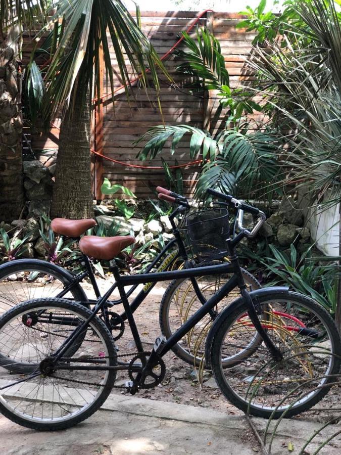 Crucero Tulum B&B 외부 사진