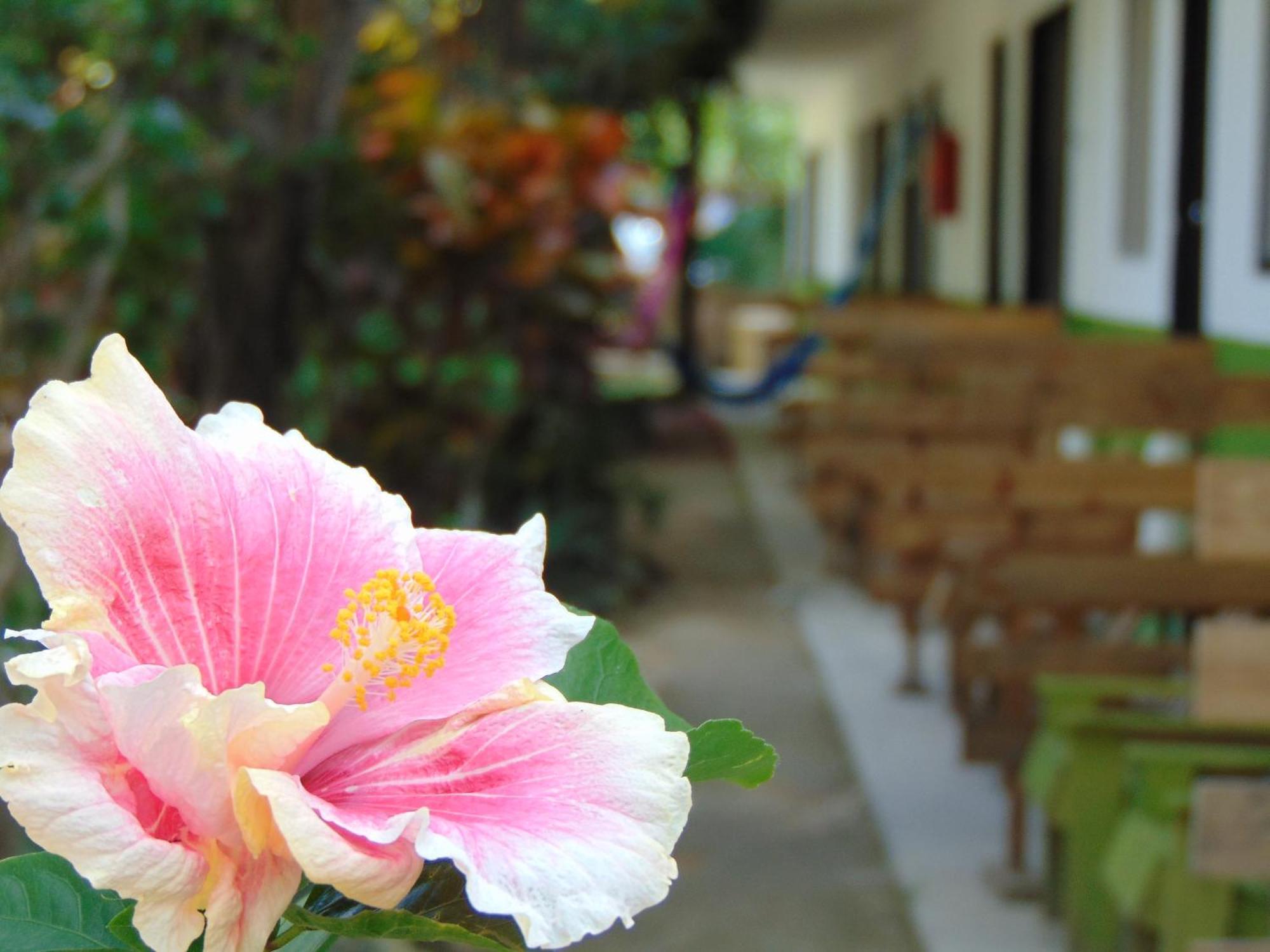 Crucero Tulum B&B 외부 사진
